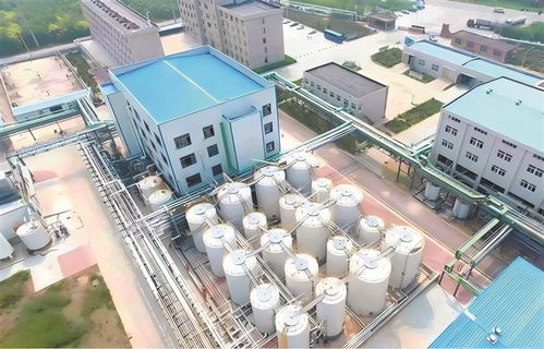 高青 以工業(yè)技改驅(qū)動(dòng)引擎，加速企業(yè)轉(zhuǎn)型升級與高質(zhì)量發(fā)展